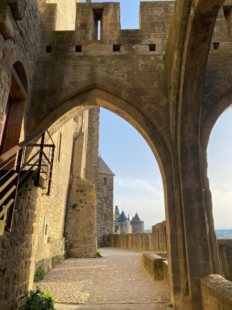 Vue Sur Cite - Spa Carcassonne Luaran gambar