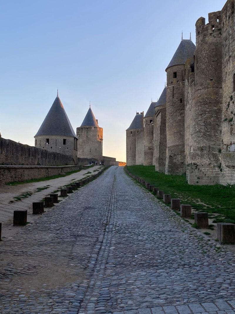 Vue Sur Cite - Spa Carcassonne Luaran gambar